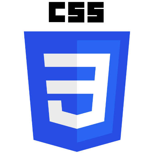 CSS Logo